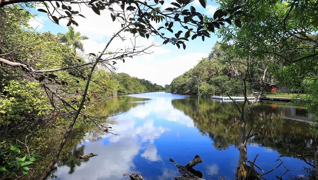 내륙 수로(Intracoastal Waterway) 전망 지점
